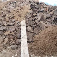 پهن گوسفندی