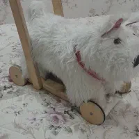 ۳چرخه،اسکوتر،سگ پشمالو ،و. درحدنو وبدون استفاده|دوچرخه، اسکیت، اسکوتر|کرج, ساسانی (قلمستان)|دیوار