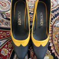 کفش مجلسی