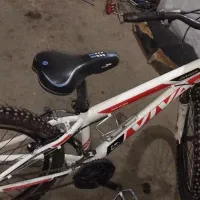 دوچرخه ویوا ۲۴ دو عدد|دوچرخه، اسکیت، اسکوتر|آبپخش, |دیوار