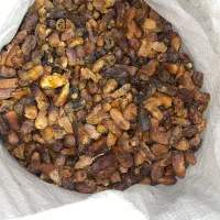 خرما