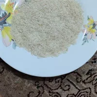 برنج طارم محلی