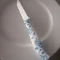 چاقو میوه خوری اصلا استفاده نشده ۴ دست