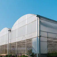 مشارکت در تاسیس گلخانه راین