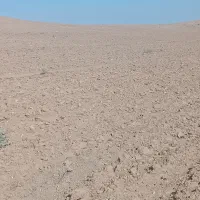 اجاره زمین کشاورزی