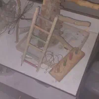 لوازم پرنده