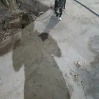 واگزاری سگ پاکوتاه قیمت 3500|سگ|بم, |دیوار