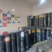 ایزوگام