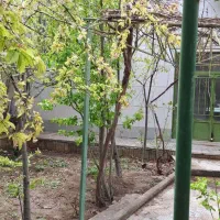 باغ ویلا در منطقه کوهستانی با آب و هوایی پاک|فروش خانه و ویلا|اردستان, |دیوار