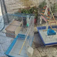 قفس|لوازم جانبی حیوانات|تهران, امیریه|دیوار