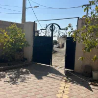جابان داخل بافت سند شش دانگ