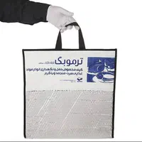 ترموبگ کیف عایق همراه با یخ خشک|آرایشی، بهداشتی، درمانی|تهران, دستغیب|دیوار