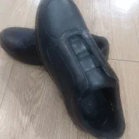 کفش برند دنیلی