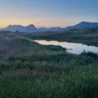 زمین باغی مناسب باغ و ویلا