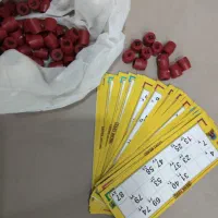 ماشین های تبدیل شونده کامیون،موتور،کاکتوس سخنگو|اسباببازی|شوشتر, |دیوار