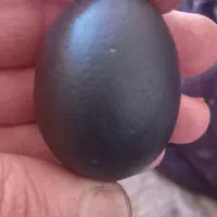 سنگ باستانی وبسیار زیبا