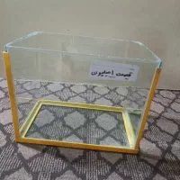آکواریوم