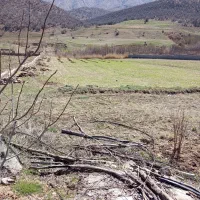 4000متر زمین دمچنار روستای سالار اباد