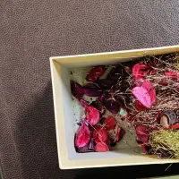 جعبه کادو|صنایع دستی و سایر لوازم تزئینی|پاکدشت, پاکدشت (مامازند)|دیوار