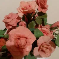 گل چینی|گل مصنوعی|کرج, خرمدشت|دیوار