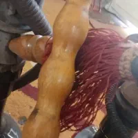 قلیان|کلکسیون و سرگرمی|شوشتر, |دیوار