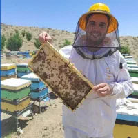 عسل های خالص ،ژل رویال، گرده گل و بره موم