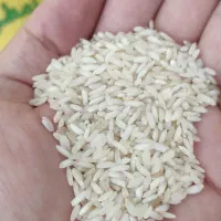 عنبربو درجه یک از زمین‌های خودمون باطعم وعطر عالی|خوردنی و آشامیدنی|تهران, بهداشت|دیوار