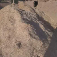 کاه