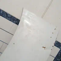 کاپوت پرایدسفید