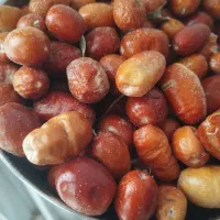 سنجد و آبغوره و زیتون