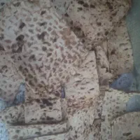 نون خوشک