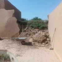کنده پسته