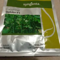 یک پاکت بزر خیار دیلاکس