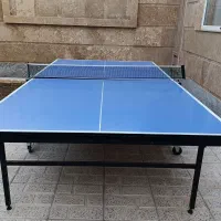 میز پینگ پنگ