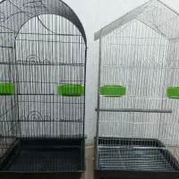 قفس کاسگویی