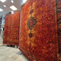 فرش تک درخت زندگی بلوچی سنتی نگارین پالت جدید|فرش|مشهد, امیر|دیوار