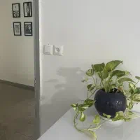 اجاره ی دفتر کار کامل|اجارهٔ دفتر کار، اتاق اداری، مطب|ساری, |دیوار