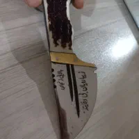 چاغو استخوانی