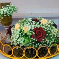 حنا آرایی تخصصی