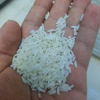 برنج هاشمی|خوردنی و آشامیدنی|رشت, حمیدیان|دیوار