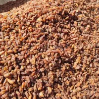 سوپرلوکس خوراکی|خوردنی و آشامیدنی|اشکذر, |دیوار