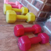 دمبل ورزشی|تجهیزات ورزشی|طرقبه, |دیوار