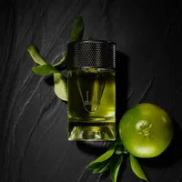 عطر دانهیل اصل dunhill amalfi citrus|آرایشی، بهداشتی، درمانی|شیراز, باغ تخت|دیوار