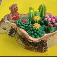 کاکتوسهای زیبا