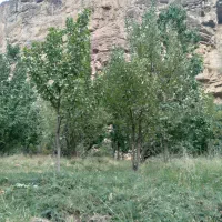 فروش زمین|فروش زمین و ملک کلنگی|مشهد, کارده|دیوار