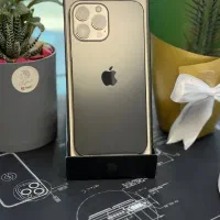 اپل iPhone 13 Pro Max / نقد و اقساط