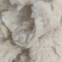 پنبه