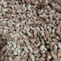 توت ارگانیک آفتاب خشک تمیز|خوردنی و آشامیدنی|رشت, حافظ آباد|دیوار