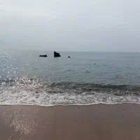 تورشادگروهی قشم