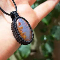 شجر|کلکسیون اشیاء عتیقه|قم, انصارالحسین|دیوار